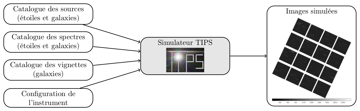 Schéma descriptif du fonctionnement de TIPS