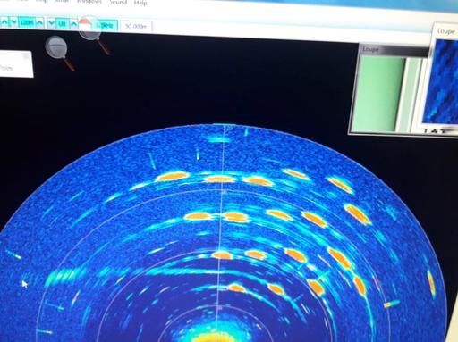 The 18 lines marked by the yellow dots in the image, KM3NeT Collaboration Credit